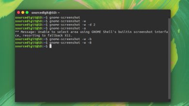 screenshot in Ubuntu